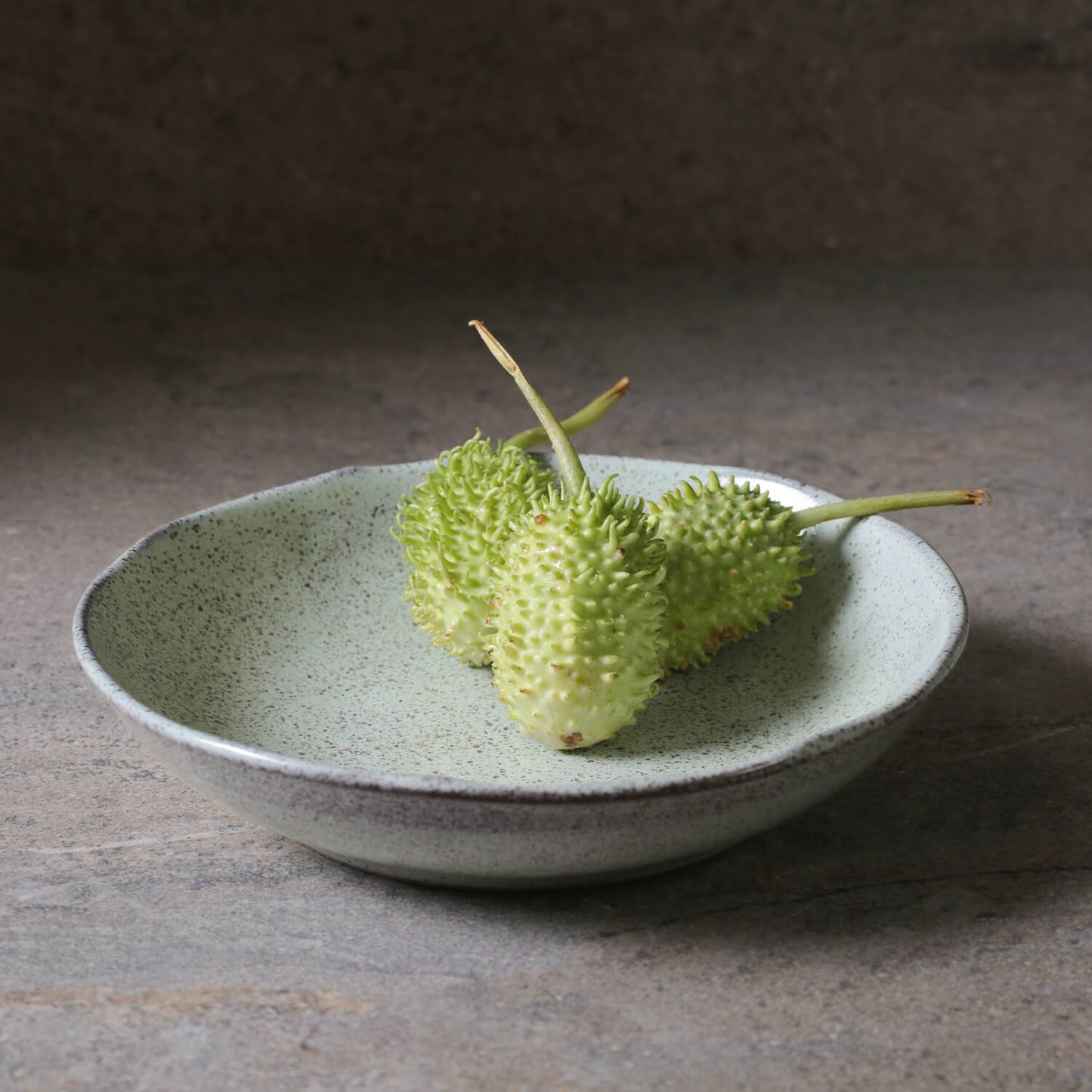 BIO BOWL STONEWARE Ø22.5CM 830ML PISTACHE