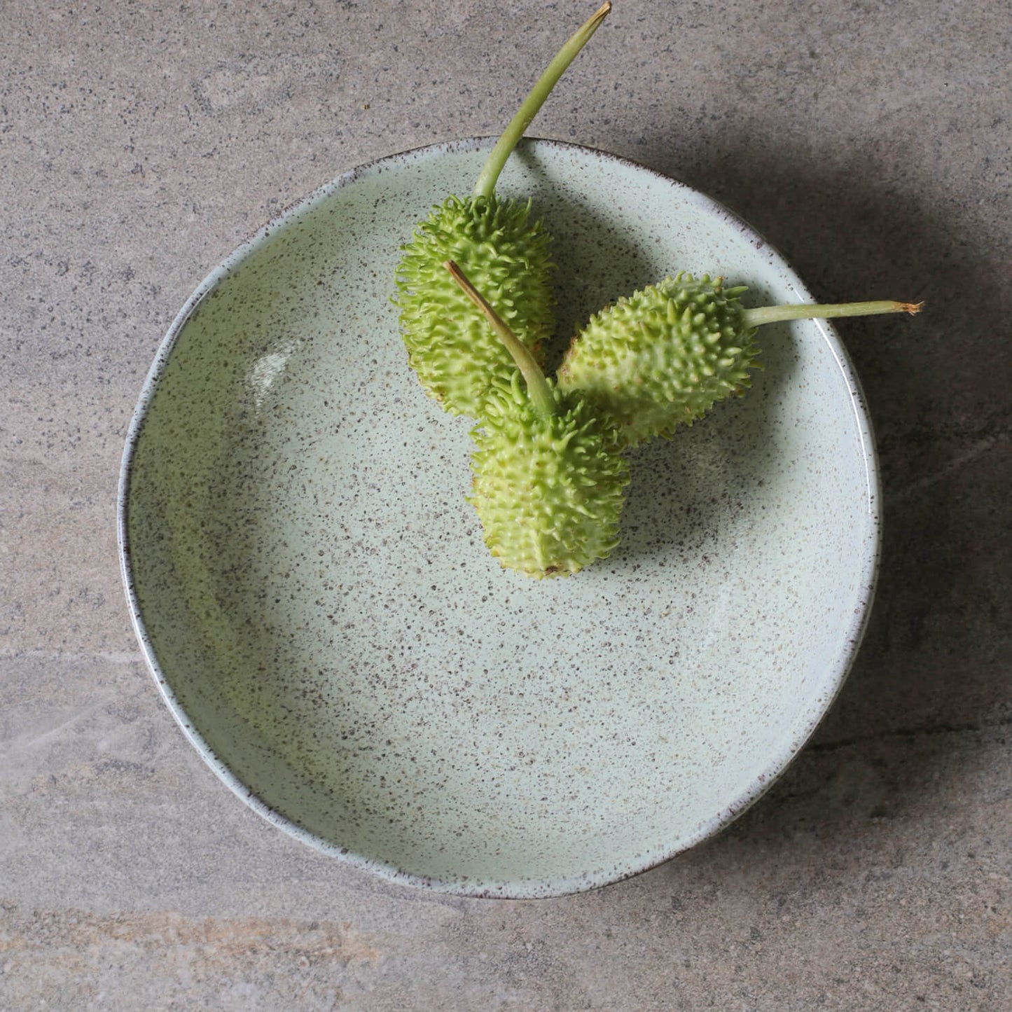 BIO BOWL STONEWARE Ø22.5CM 830ML PISTACHE